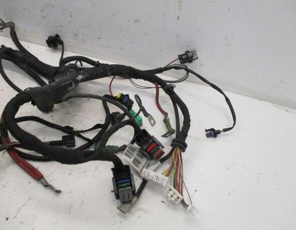 Engine Wiring Harness RENAULT Clio III (BR0/1, CR0/1)