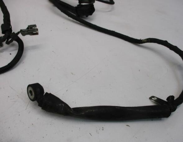 Engine Wiring Harness FORD Transit Connect (P65, P70, P80)