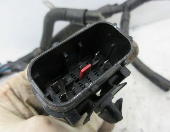 Engine Wiring Harness FIAT Qubo (225)