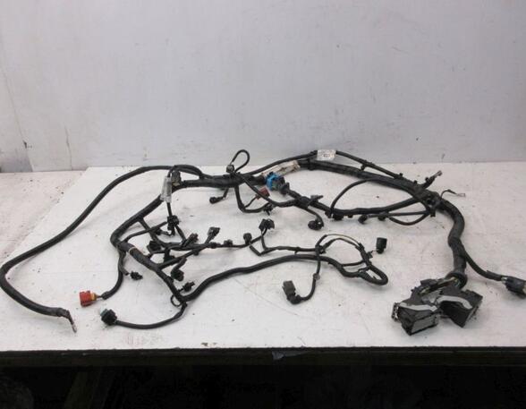 Engine Wiring Harness FORD Focus III (--)