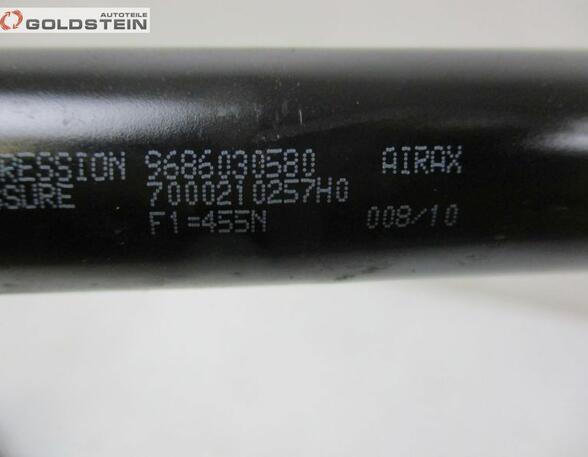 Heckklappendämpfer Gasdruckfeder  PEUGEOT 207 CC (WD_) 1.6 16V 88 KW