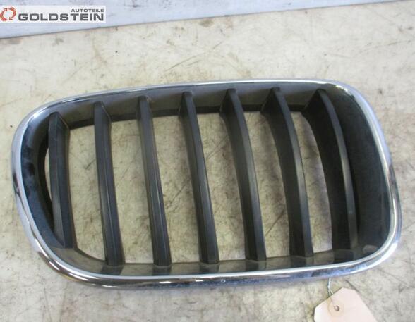 Radiator Grille BMW X3 (F25)