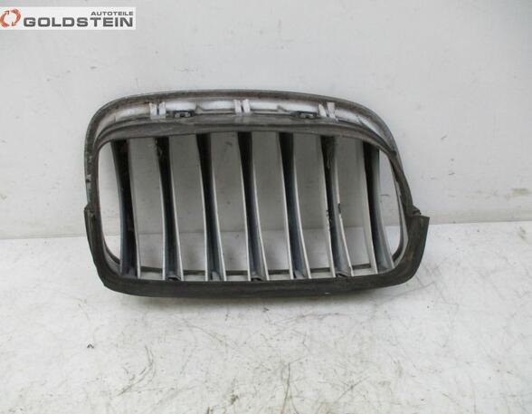 Radiator Grille BMW X5 (E70), BMW X6 (E71, E72)