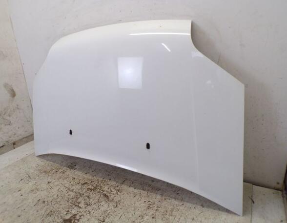 Bonnet FORD Transit Connect (P65, P70, P80)