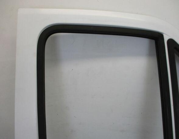 Door FIAT Ducato Bus (230)