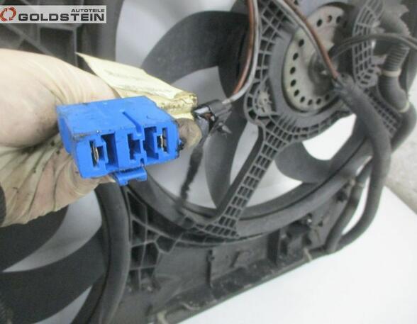 Radiator Electric Fan  Motor CITROËN Jumper Kasten (--)