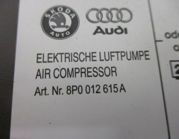 Compressor Bracket AUDI A5 (8T3)