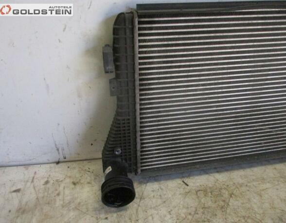 Ladeluftkühler Turbokühler Intercooler VW GOLF PLUS (5M1  521) 1.9 TDI 77 KW