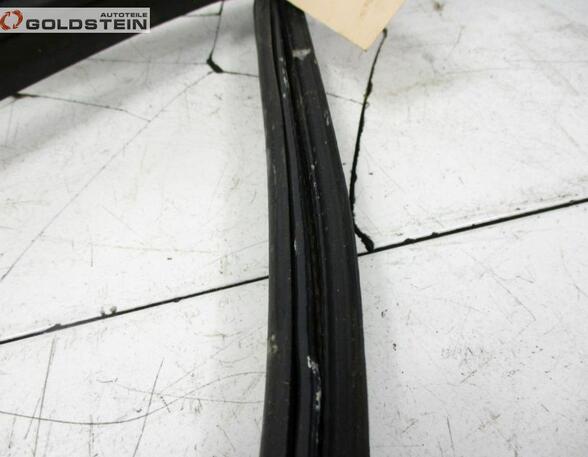 Boot / Trunk Lid Seal VW EOS (1F7, 1F8)