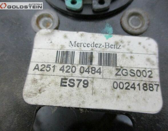 Pedal Assembly MERCEDES-BENZ R-Klasse (V251, W251)