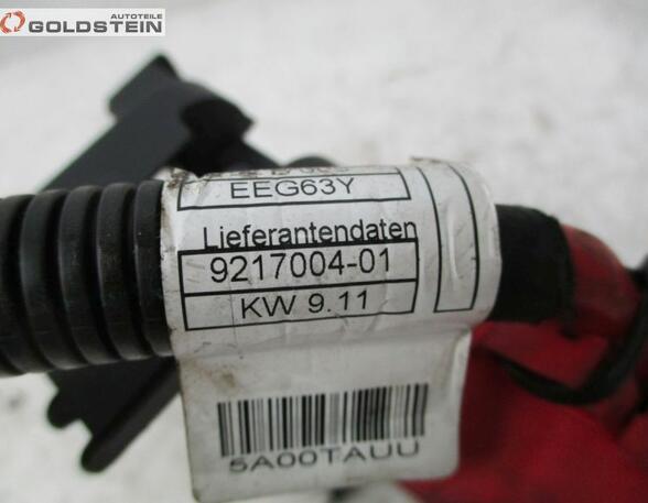 Ignition Cable BMW X5 (E70), BMW X6 (E71, E72)