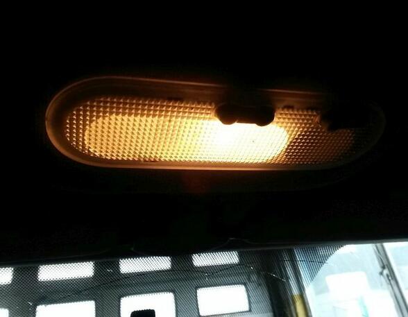 Interior Light RENAULT Clio III (BR0/1, CR0/1)