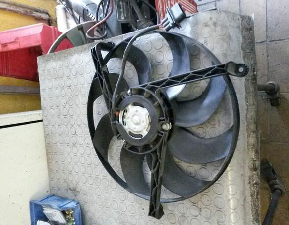 Radiator Electric Fan  Motor SKODA Fabia II (542)