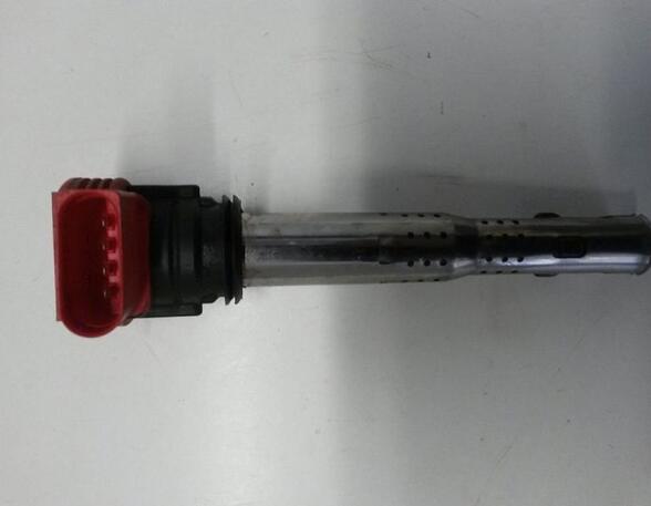 Ignition Coil AUDI A6 Avant (4F5, C6)