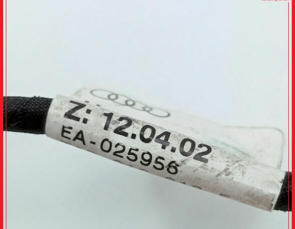 Wiring Harness AUDI A4 (8E2), AUDI A4 (8EC, B7)