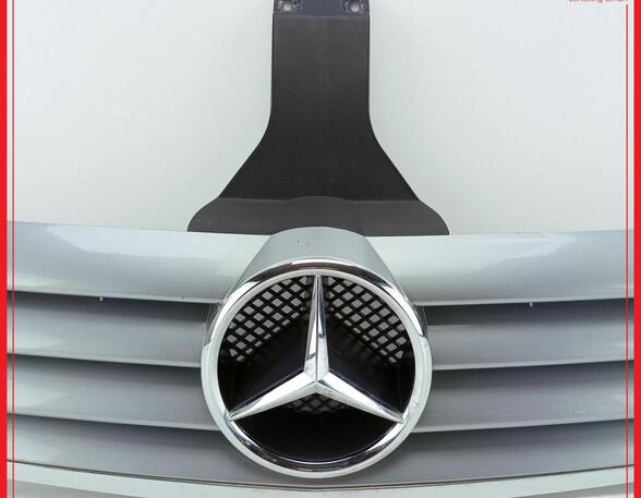 Radiator Grille MERCEDES-BENZ C-Klasse Coupe (CL203)