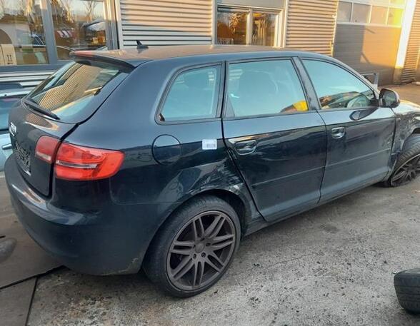 Remklauw AUDI A3 (8P1), AUDI A3 Sportback (8PA)