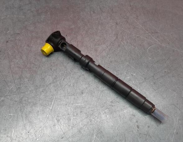 Injector Nozzle SEAT Ibiza IV (6J5, 6P1)