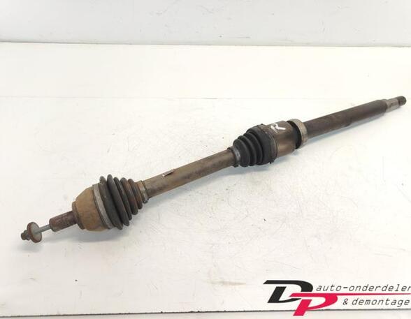 Drive Shaft FORD C-Max (DM2), FORD Focus C-Max (--)