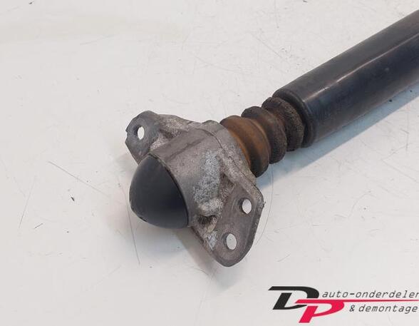 Shock Absorber VW Tiguan (5N)