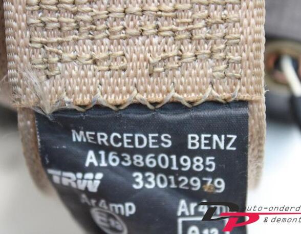 P16941625 Sicherheitsgurt links hinten MERCEDES-BENZ M-Klasse (W163) A1638601985
