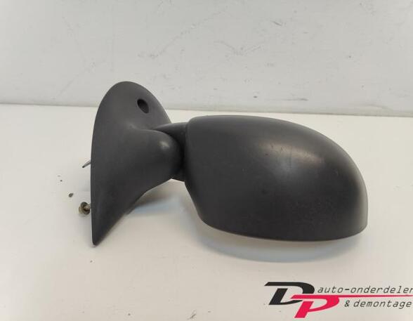 Wing (Door) Mirror RENAULT Twingo I (C06)