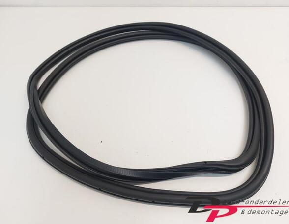 Door Seal AUDI Q7 (4LB)