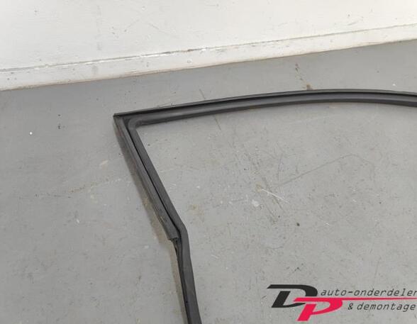 Door Seal ALFA ROMEO Mito (955)