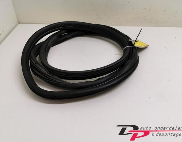 Door Seal FIAT Grande Punto (199), FIAT Punto Evo (199)