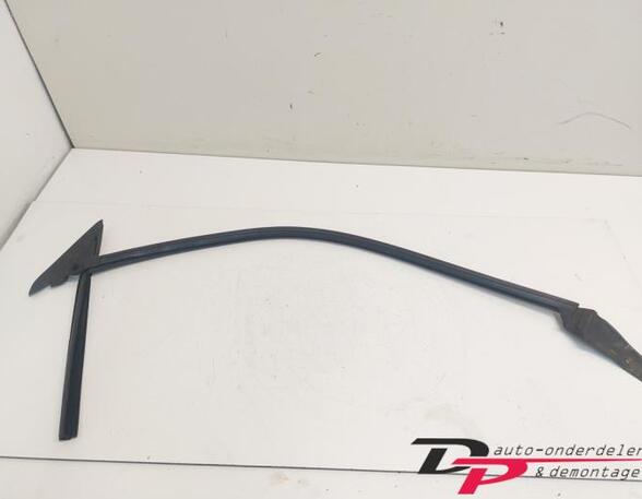 Door Seal AUDI TT Roadster (8J9)