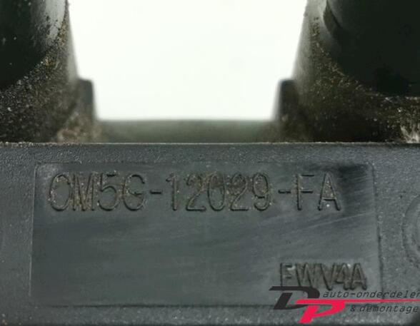 P12431305 Zündspule FORD Fiesta VI (CB1, CCN) CM5G12029FA
