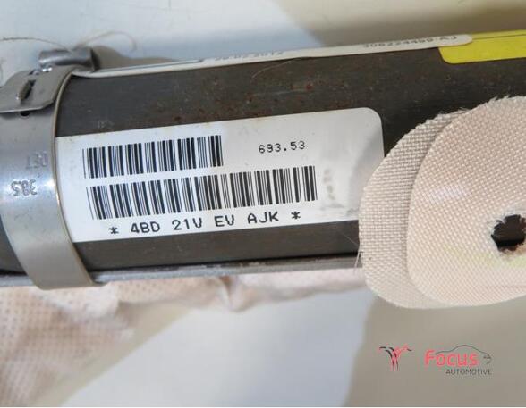 Roof Airbag OPEL Insignia A (G09)