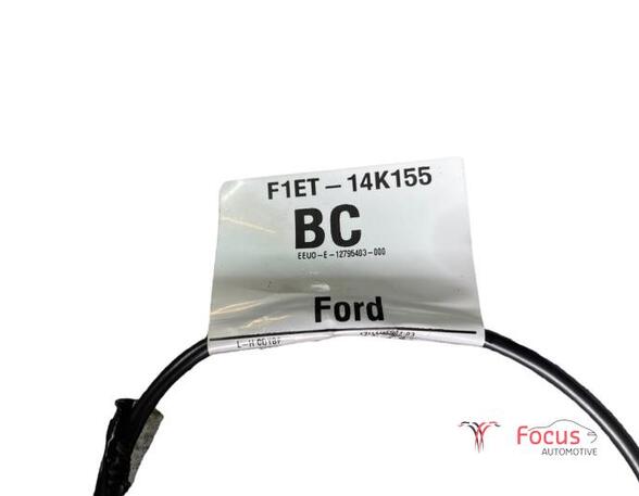 Roof Airbag FORD Focus III (--)