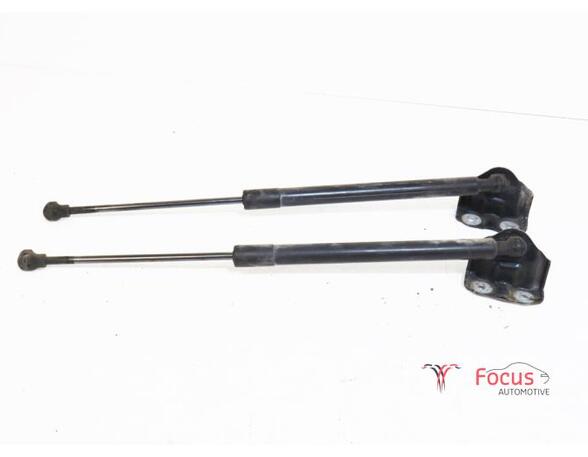 Bootlid (Tailgate) Gas Strut Spring RENAULT Clio III (BR0/1, CR0/1), RENAULT Clio IV (BH)