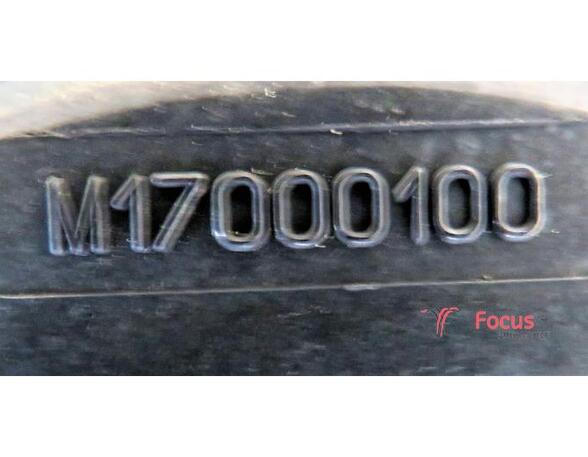 Elektrische motor radiateurventilator FIAT Doblo Großraumlimousine (119, 223)