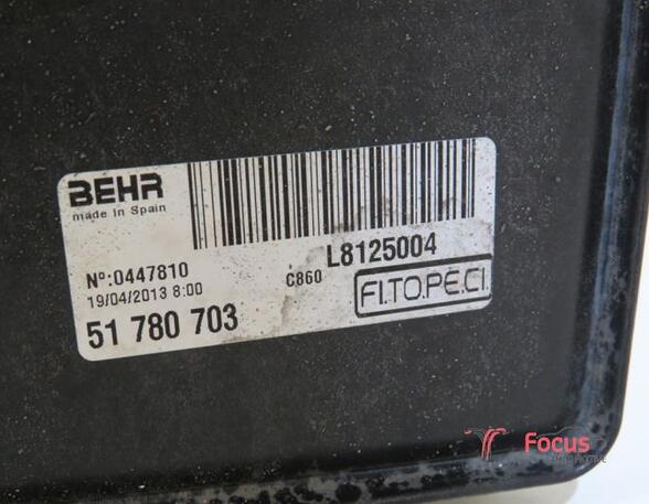 Elektrische motor radiateurventilator FIAT Fiorino Kasten/Großraumlimousine (225), FIAT Qubo (225)