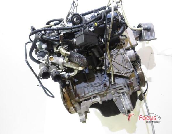 P14455666 Motor ohne Anbauteile (Diesel) FIAT Punto Evo (199) 0445010080