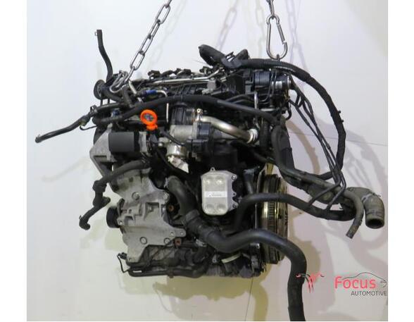 P19179674 Motor ohne Anbauteile (Diesel) VW Polo V (6R, 6C) 03L130755AL