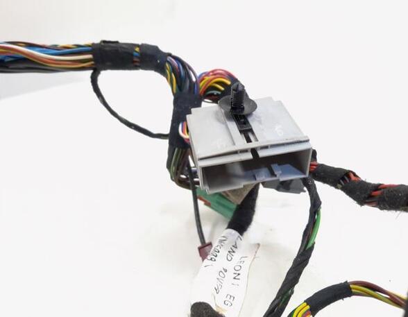 Wiring Harness LAND ROVER Range Rover Sport (L320)