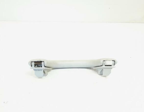 Grab Handle VW Golf V Variant (1K5), VW Golf VI Variant (AJ5), VW Golf V (1K1), VW Golf VI (5K1)