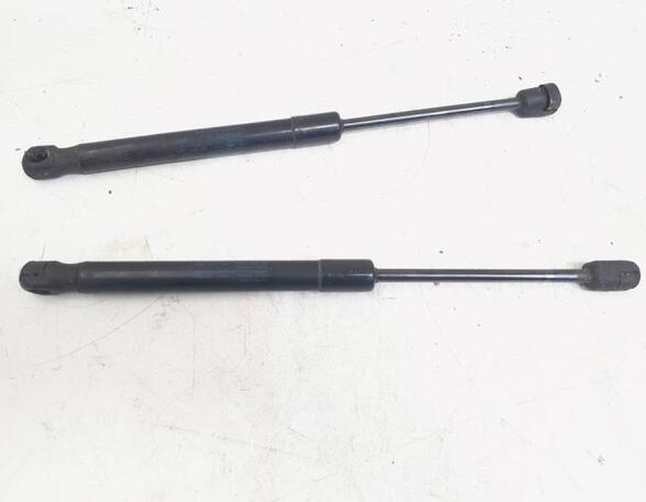 Gas Spring Engine Hood AUDI A6 (4G2, 4GC), LAND ROVER Discovery IV (LA)