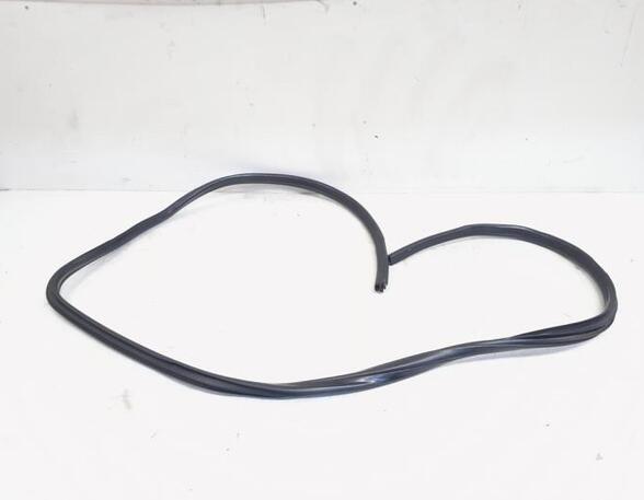 Door Seal BMW X1 (E84)