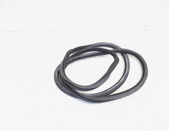 Door Seal AUDI Q5 (8RB)