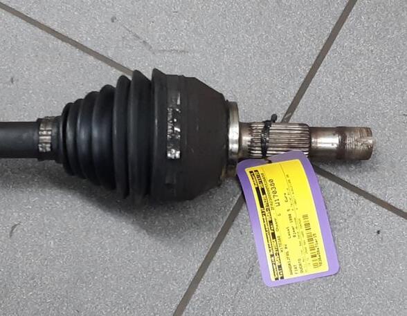 Drive Shaft FIAT Ducato Pritsche/Fahrgestell (230)