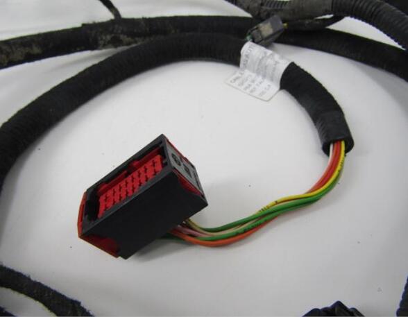 Wiring Harness CITROËN DS4 (--), DS DS4/DS4 Crossback (--)