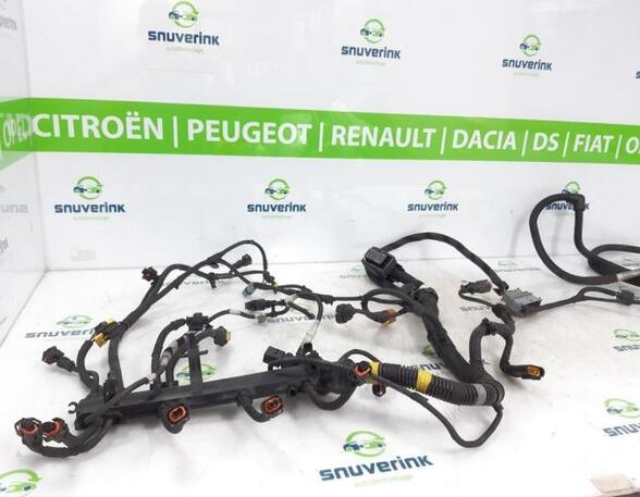 Wiring Harness FIAT Ducato Pritsche/Fahrgestell (250, 290)