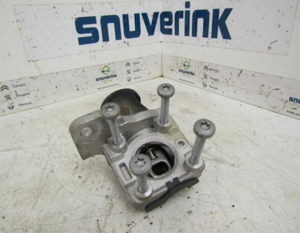 EGR Valve RENAULT Captur I (H5, J5), RENAULT Clio IV (BH)