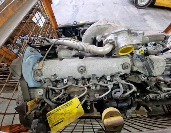 P149961 Motor ohne Anbauteile (Diesel) RENAULT Megane II (M) F9Q803