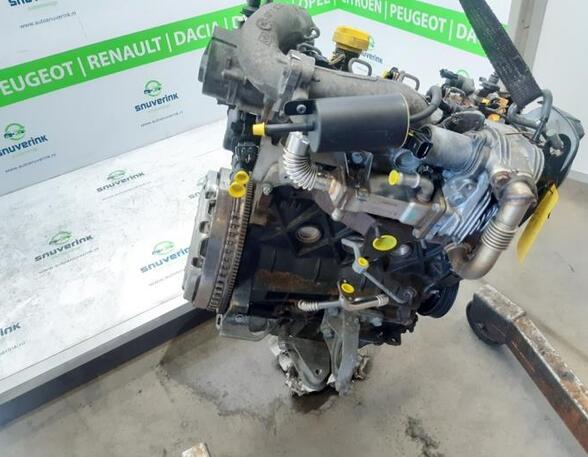P15715873 Motor ohne Anbauteile (Diesel) RENAULT Scenic II (JM) 7701474696
