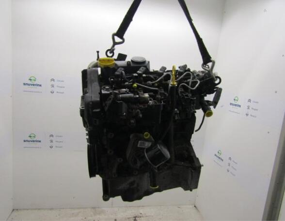 Bare Engine RENAULT Clio III (BR0/1, CR0/1)